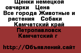 Щенки немецкой овчарки › Цена ­ 30 000 - Все города Животные и растения » Собаки   . Камчатский край,Петропавловск-Камчатский г.